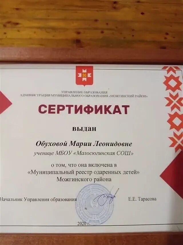 Реестр одаренных детей коми. Реестр одаренных детей. реестр одаренных.