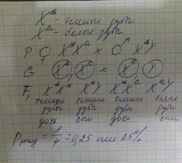 Какова вероятность рождения девочки