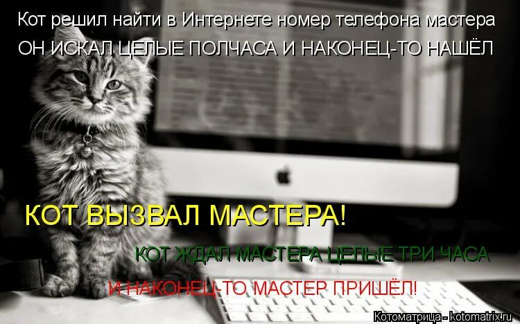 реши коте. мур котик.