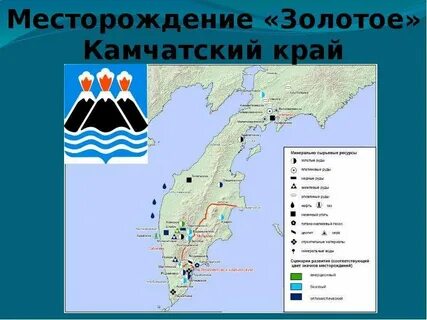 Организации камчатского края