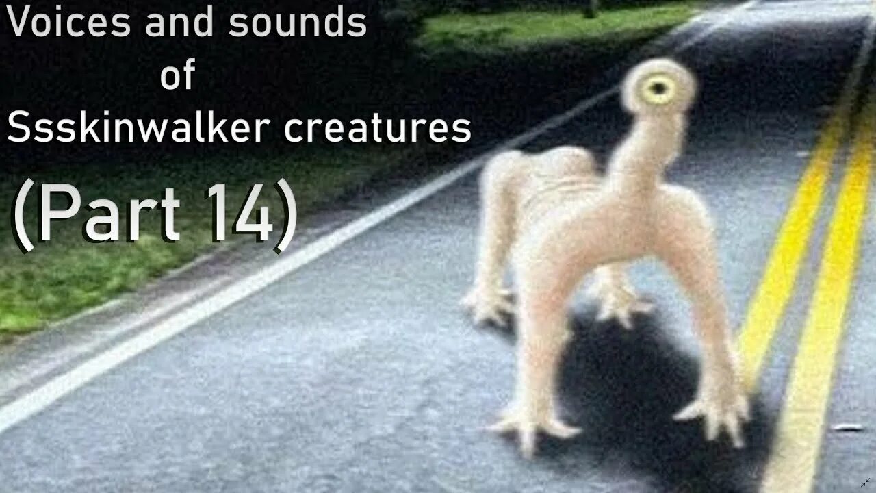 Кот бегемот сидит на шкафу. Кот скинвокер сидит. Кот скинвокер сидит. Забавный случай. Кот скинвокер сидит.