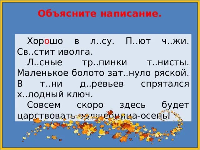 Маленькое болото затянуло ряской разбор предложения. Ряска проверочное слово. Л сные 3