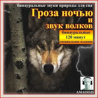 Песни кучина про волка