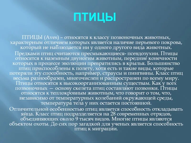 Птицы относятся к животным. Что относится к птицам. Птицы относятся к классу. Взгляды Бердяева.