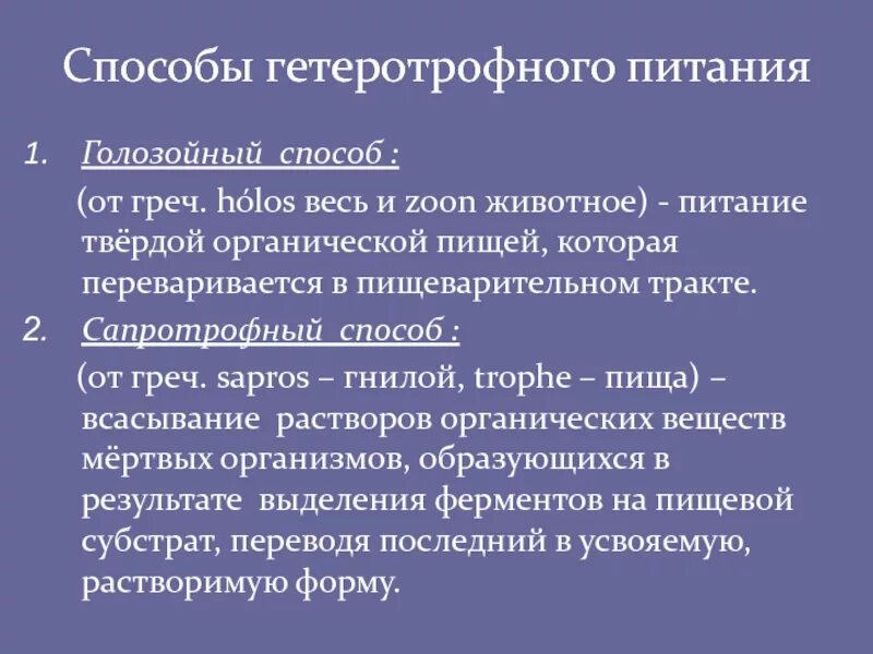 Голозойный Тип питания. Голозойный и голофитный Тип питания. Способы питания. Этапы голозойного питания.