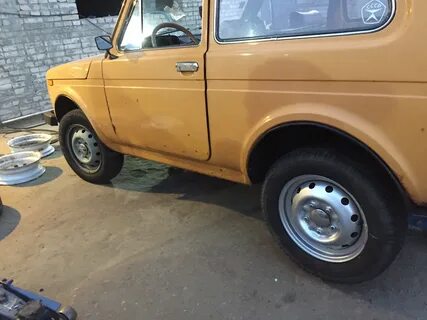 Золотая нива 245