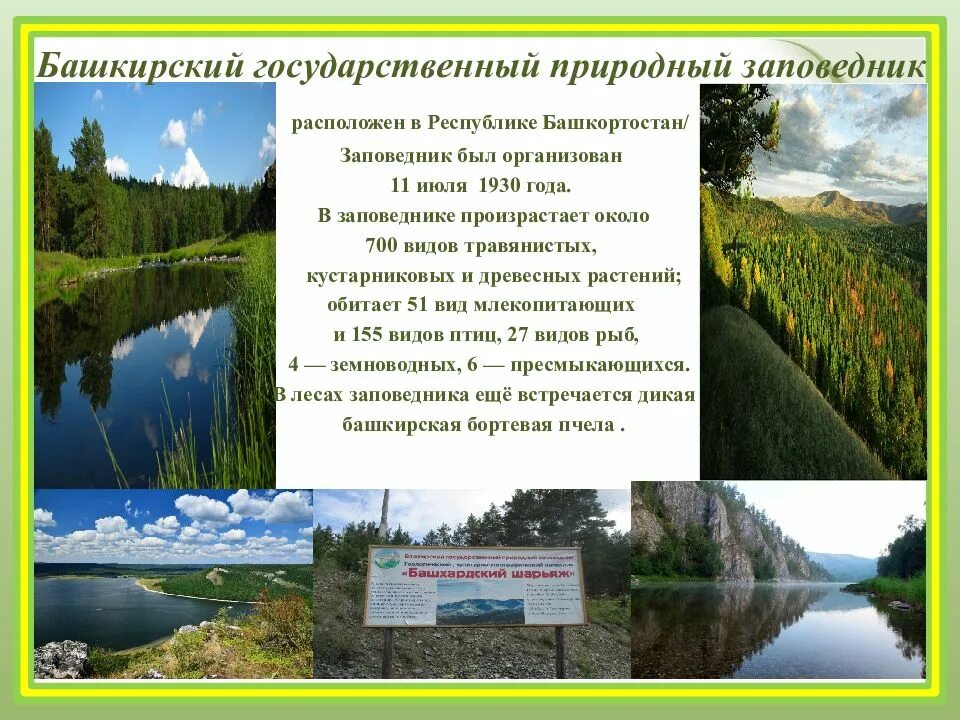 Башкирия рассказ. Природные памятники заповедники башкирии. заповедники башкортостана рассказ. заповедник башкирии рассказ. заповедники башкортостана сообщение.