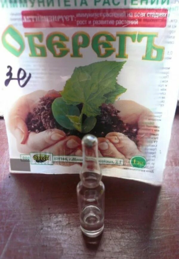 Средство оберег. Оберегъ &quot;ортон&quot; природный стимулятор 1мл. природный стимулятор роста растений оберегъ таблица. стимулятор иммунитета растений оберегъ. оберег ортон 1 мл.
