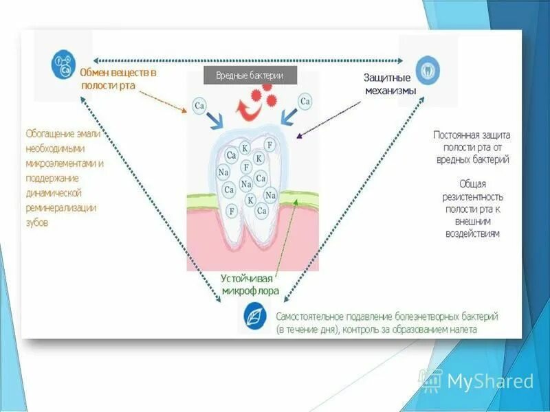 Факторы защиты полости рта. Защитные механизмы полости рта. Неспецифические защитные факторы полости рта.. Неспецифическая резистентность полости рта.