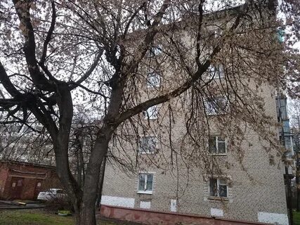 Тула 54