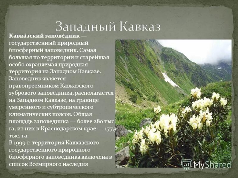 Кавказ география
