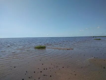 Погода в еруново новгородская
