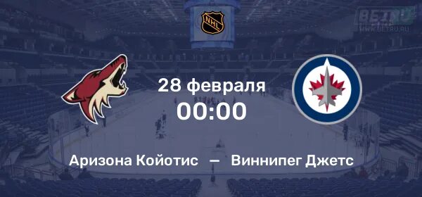 нхл – аризона койотис. аризона койотис. аризона койотис виннипег джетс. аризона койотис виннипег джетс. нхл – виннипег джетс.