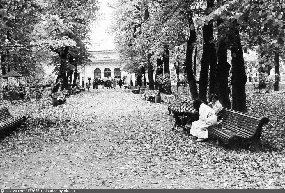 Есть в старом парке черный. Санкт-Петербург летний сад 1910 год. Летний сад 20 век. Сад Эрмитаж парк Санкт-Петербург. Сад Эрмитаж в 19 веке.