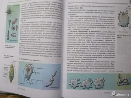 Книга по биологии 7 класс читать