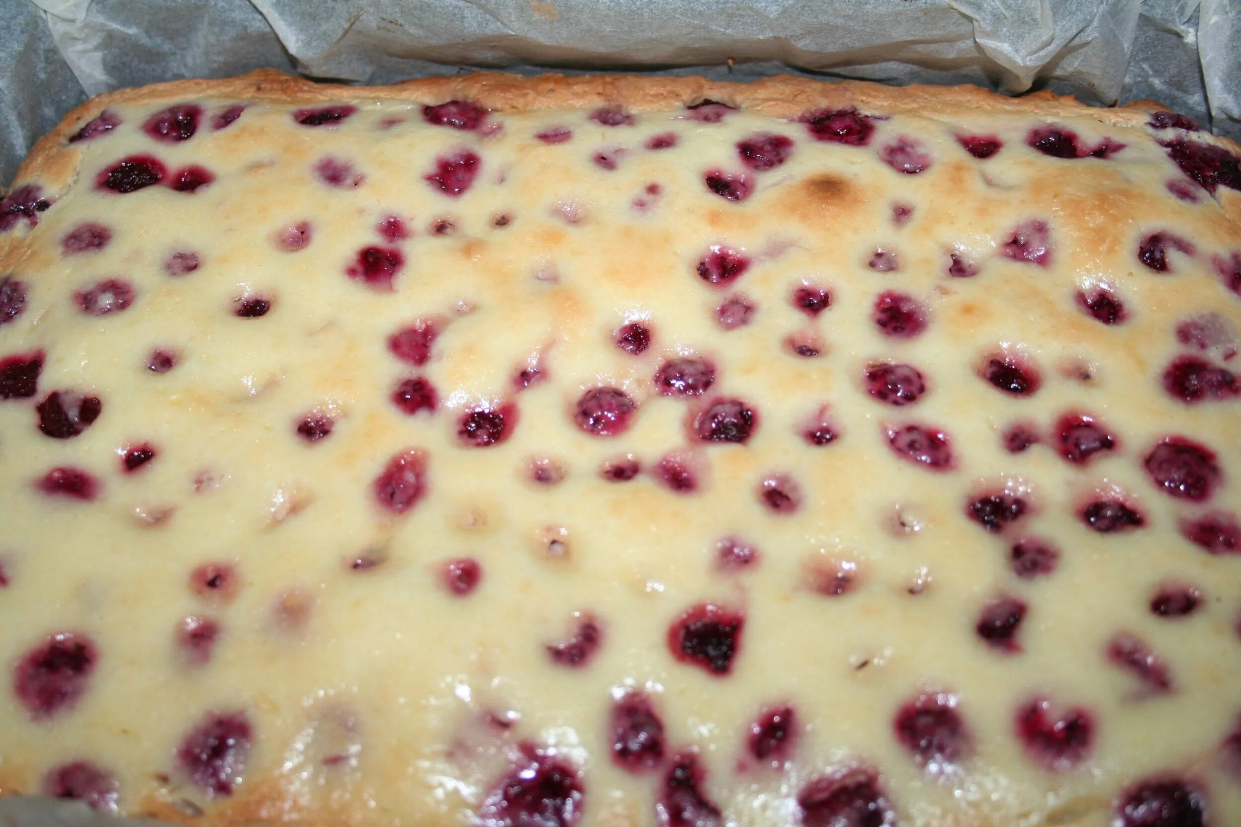 Песочный пирог со смородиной. Пирог со смородиной и сметанной заливкой. Песочный пирог с чёрной смородирой. Пирог с ягодами и сметанной заливкой из песочного теста. Сметанный пирог со смородиной.