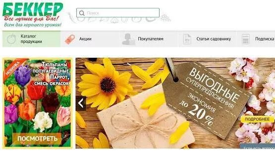 Сайт интернет магазина беккер. Сайт интернет магазина беккер. Сайт интернет магазина беккер. Беккер интернет магазин семена. Сайт беккер интернет магазин отзывы.