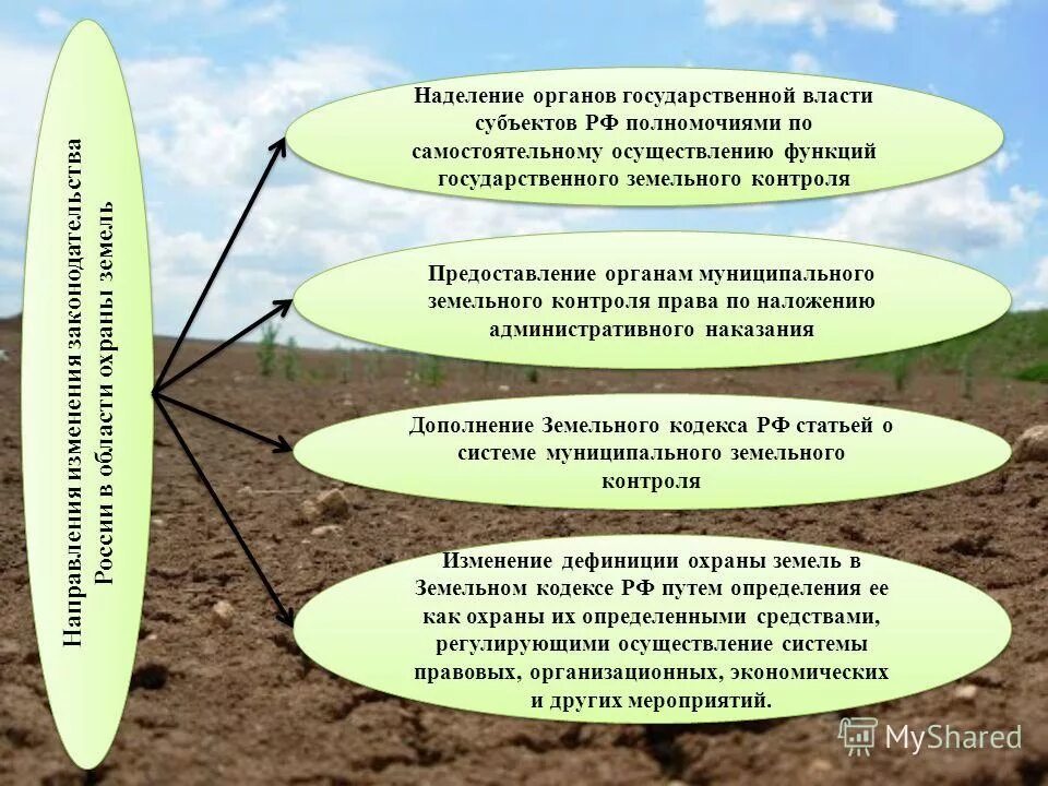 Муниципальная программа охраны земель. Муниципальная программа охраны земель