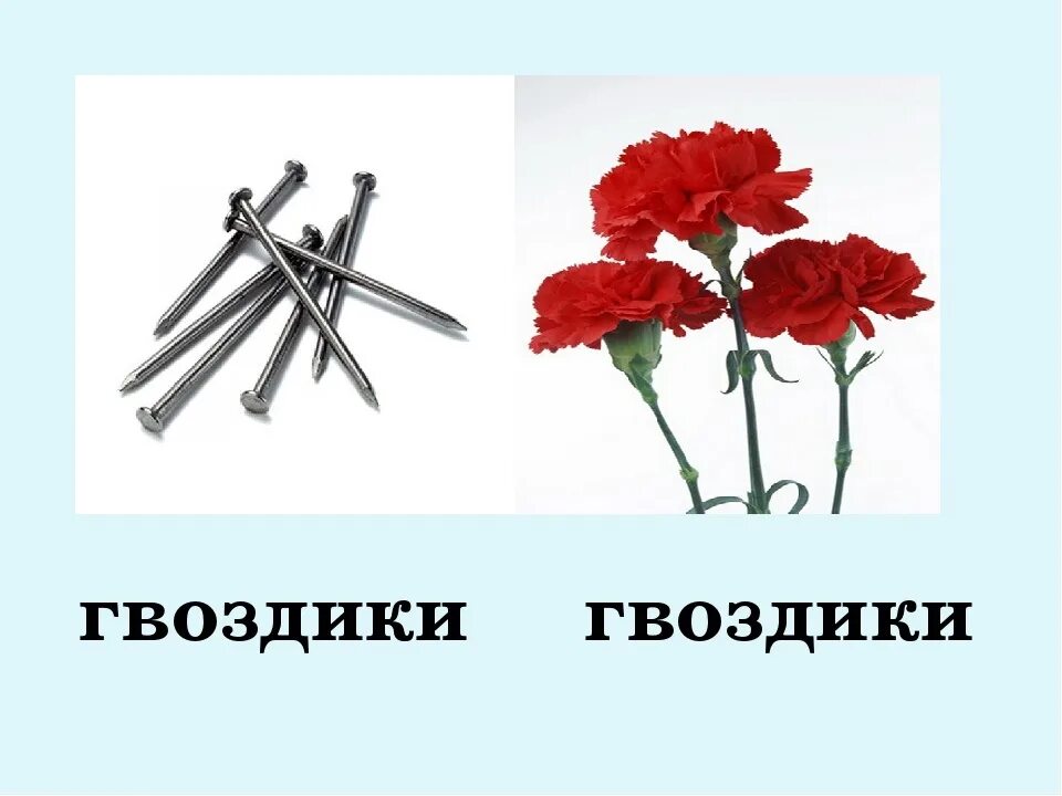 Забивал гвоздики. Гвоздики гвоздики. Гвоздики ударение. Гвоздики гвоздики ударение. Гвоздики 2 класс.