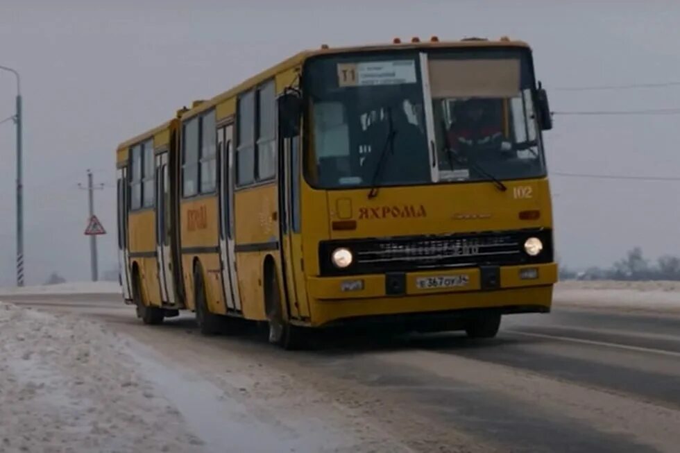 Икарус 280 аварийка. Автобус Икарус 280 в Волгограде. Автобус ЛИАЗ Волгоград. Волгоград 55 автобус на сегодня