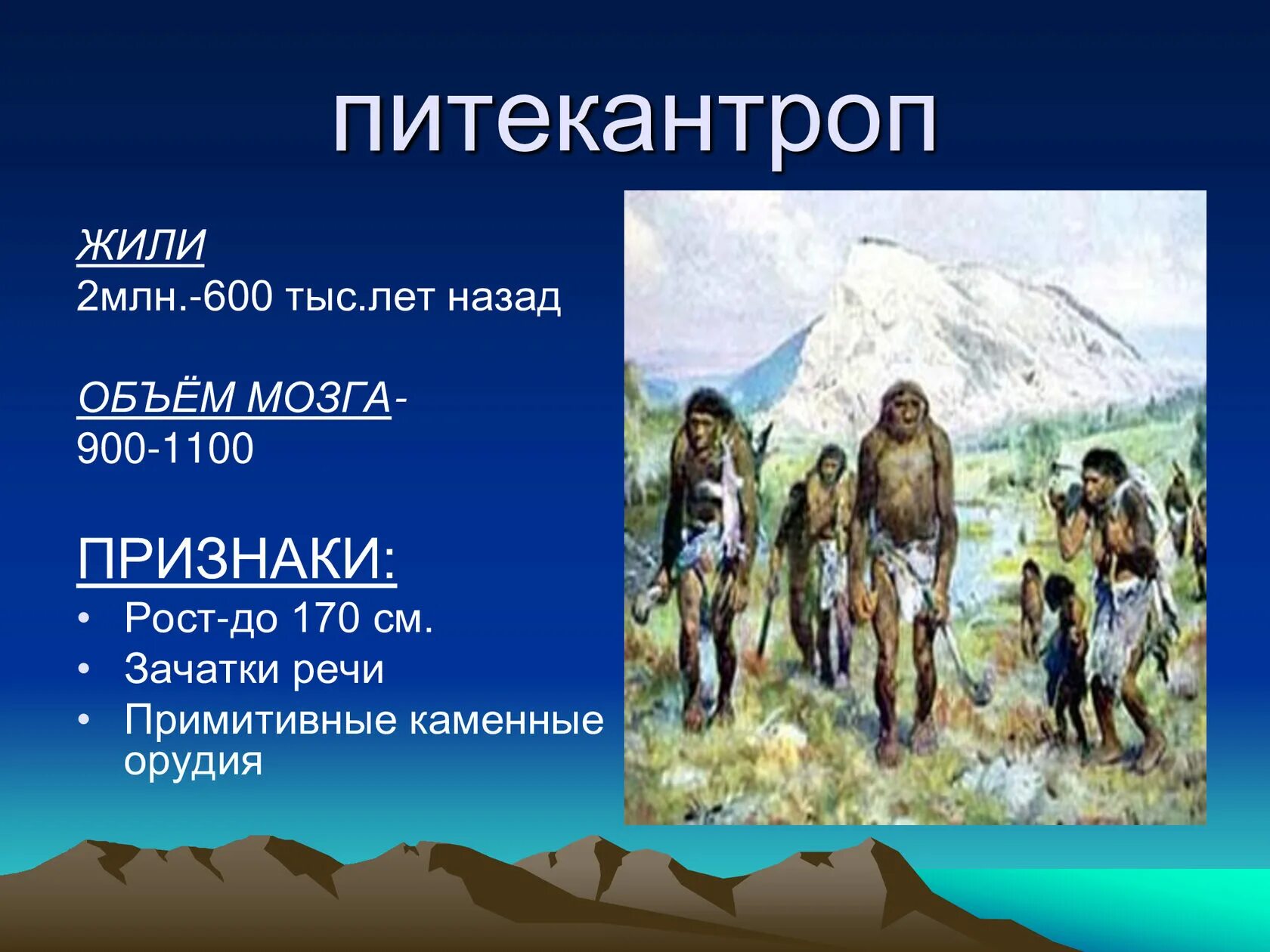 Питекантроп образ жизни. Питекантропы жили. Питекантроп рост. 600 Тыс лет назад. 600 лет жили