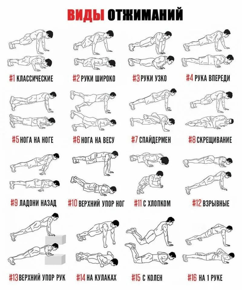 обратный порядок упражнений. последовательные упражнения. обратный порядок упражнений. обратный порядок упражнений. пампинг груди.