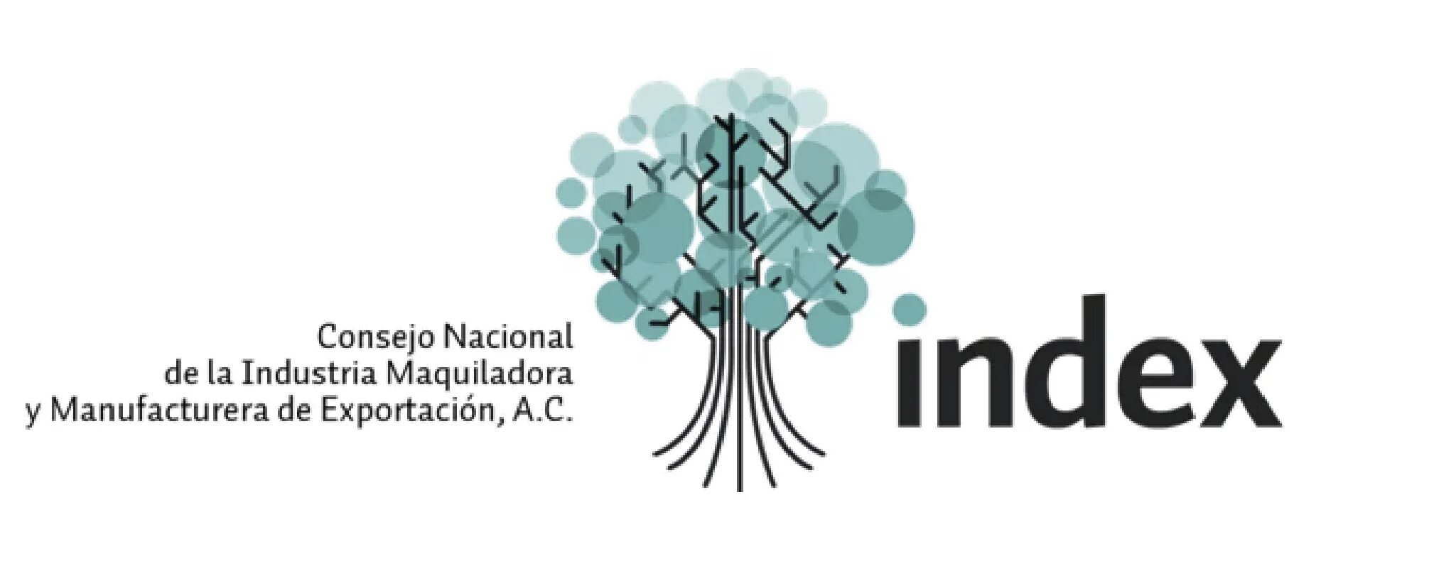 El mejor consejo фото. El mejor consejo. El mejor consejo. El mejor consejo фото. El mejor consejo.