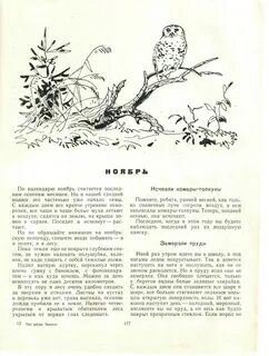Отрывок скребицкого