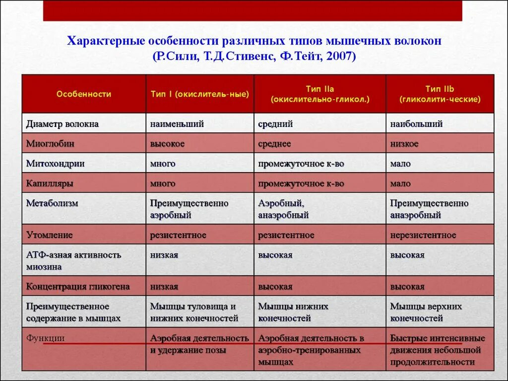 Практический тип характерен для. Характерные особенности различных типов мышечных волокон. Характеристики мышечных волокон 2 типа таблица. Общая характеристика мышечных волокон таблица. Характеристика второго типа (белых) мышечных волокон.