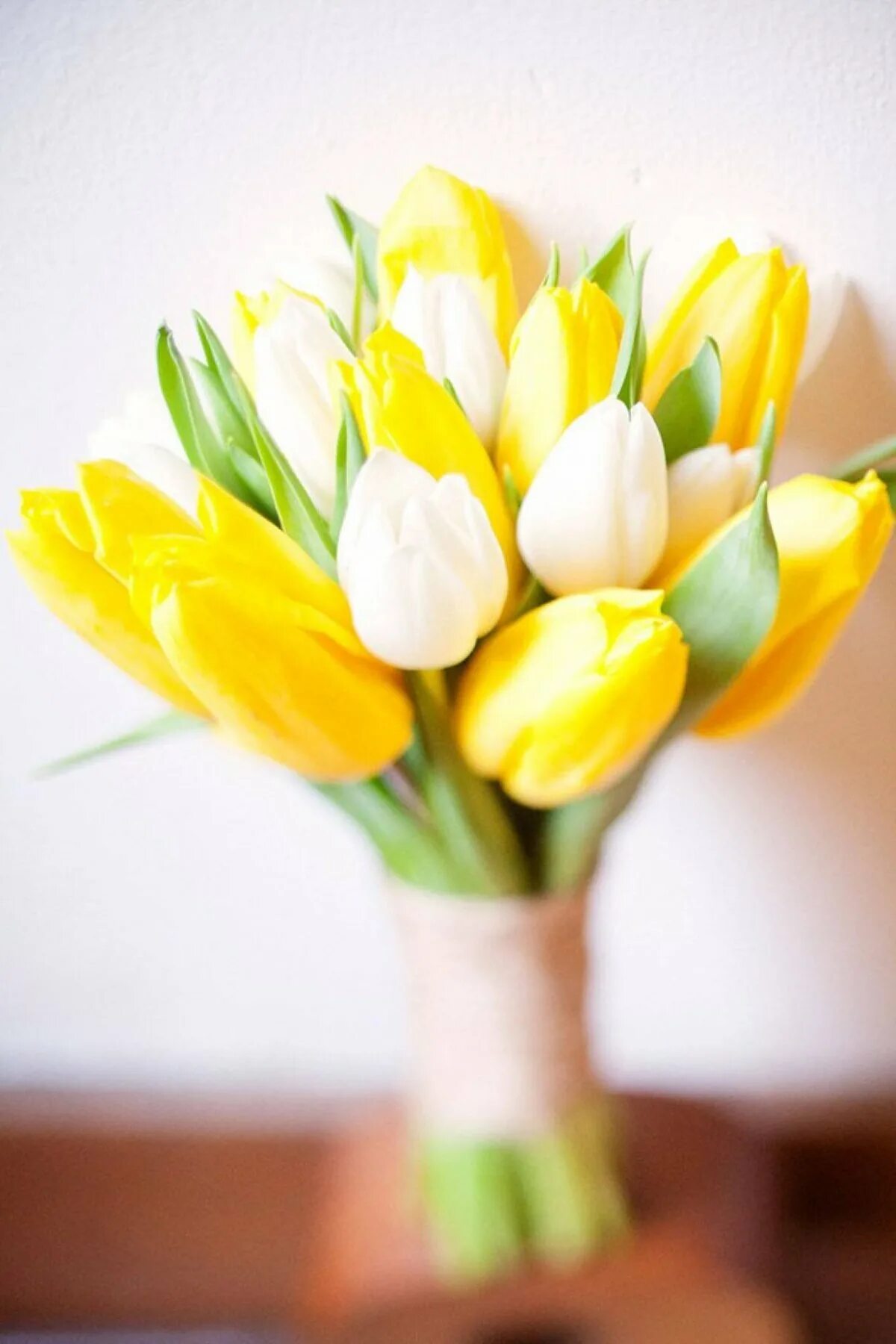 Белой и желтой тюльпаны. Желтые тюльпаны. Белой и желтой тюльпаны. Белые тюльпаны. Букет 15 желтых тюльпанов.