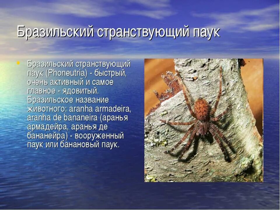 Информация о самых