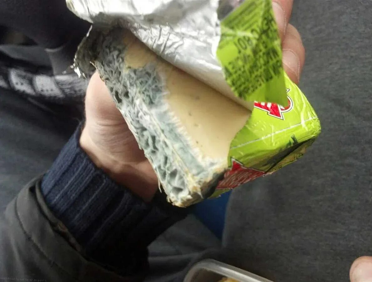 Можно ли использовать просроченный сыр. Просроченный сыр. просроченный сырок. сыр с плесенью просроченный. сыр с плесенью просрочка.