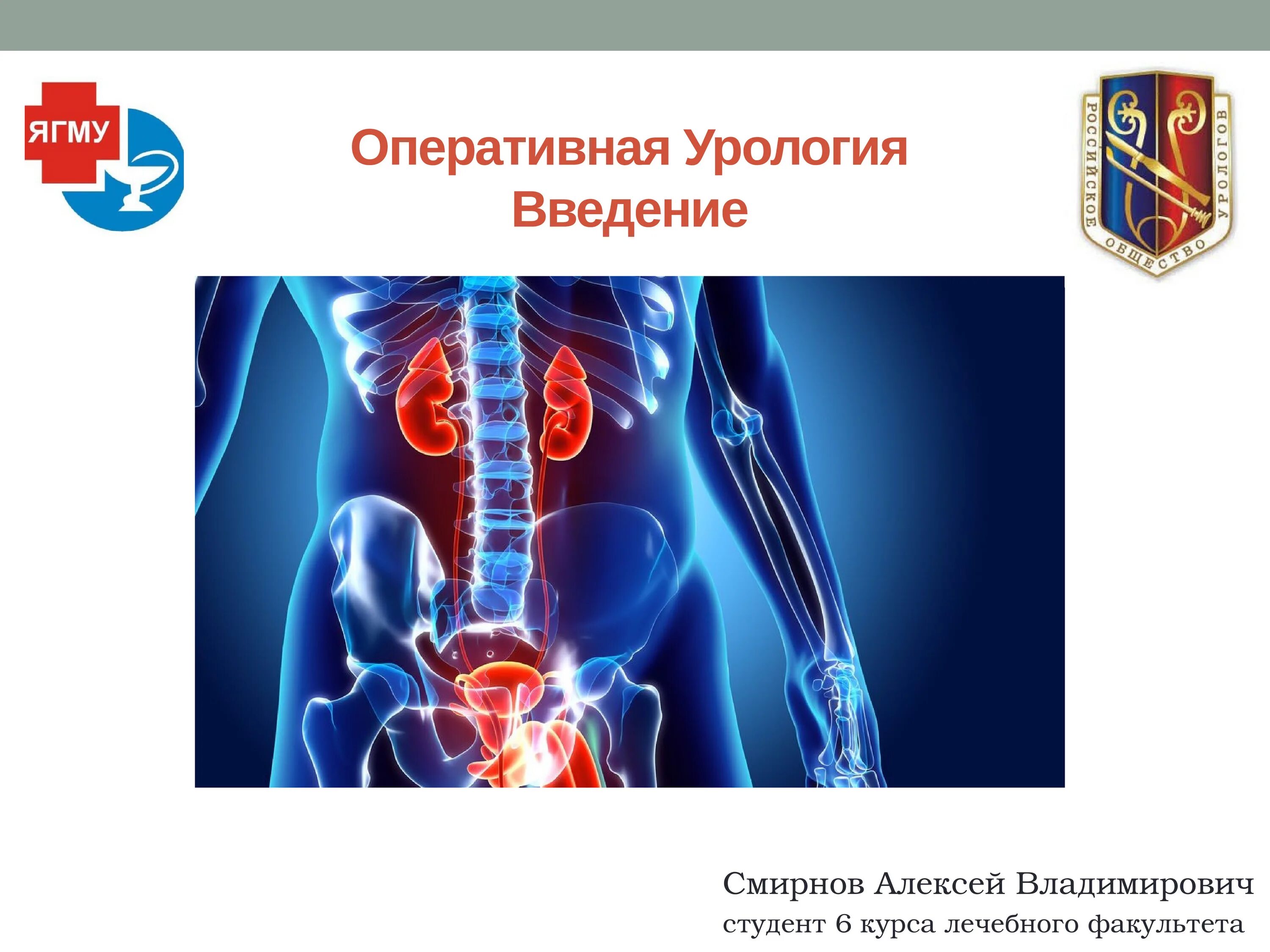 Порядок по урологии. Урология презентация. Оперативная урология. Урология presentation. Урология слайд ppt.