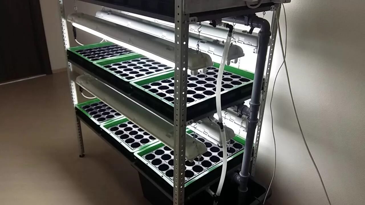 Установка для микрозелени