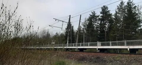 40 пункт