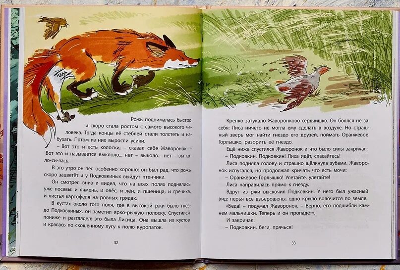 Краткое содержание бианки оранжевое. Бианки оранжевое горлышко книга. в в бианки оранжевое горлышко мурзук. в в бианки оранжевое горлышко мурзик. виталия бианки оранжевое горлышко.