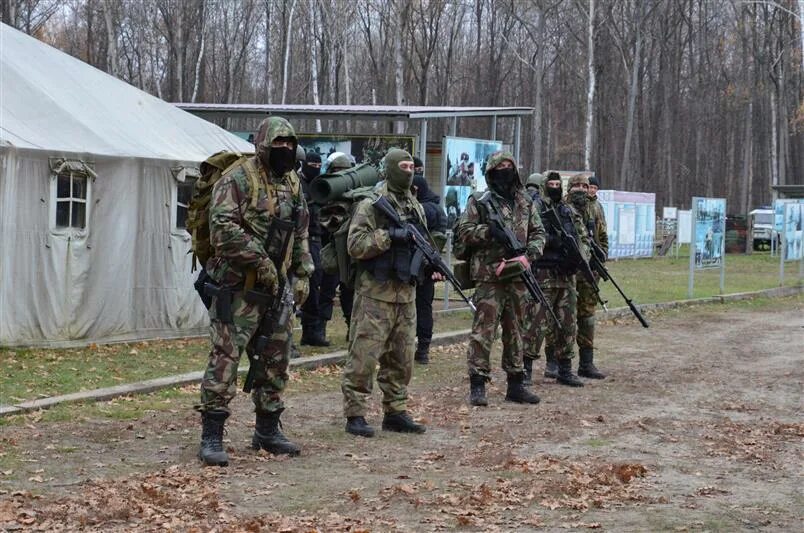 Служба в собре