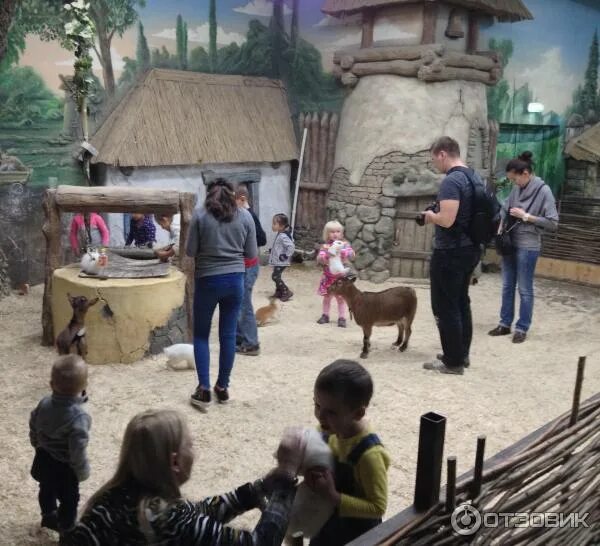 Контактный зоопарк рио. Тц рио контактный зоопарк спб. Тц рио экзопарк спб. Контактный зоопарк рио. Контактный зоопарк рио.