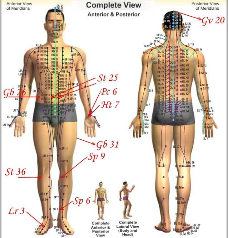 Акупунктура меридианы китайская медицина. Биологически активные точки - точки акупунктуры. Атлас акупунктурных точек. Акупунктура тела человека атлас. Атлас аккупунктурных мередиан.