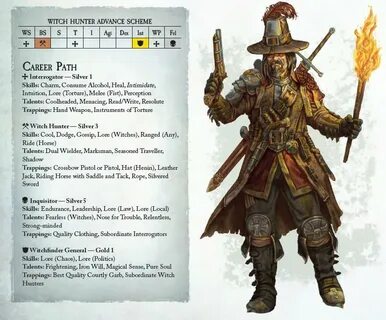 Witch hunter читы