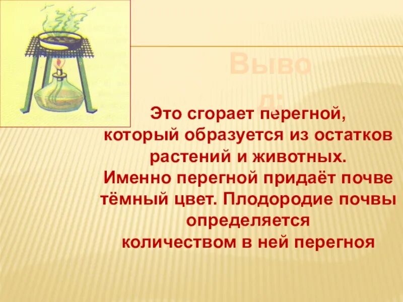 Растительными остатками образован. Перегной придает почве темный цвет. Опыт перегной в почве. Вывод. Цвет перегноя в почве.