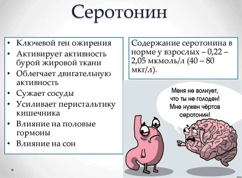 В каких продуктах содержится дофамин