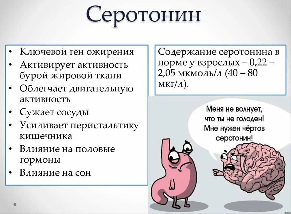 Что влияет на выработку. Серотонин гормон. Серодон что это. Железа, вырабатывающая гормон серотонин.. Гормон повышающий настроение.