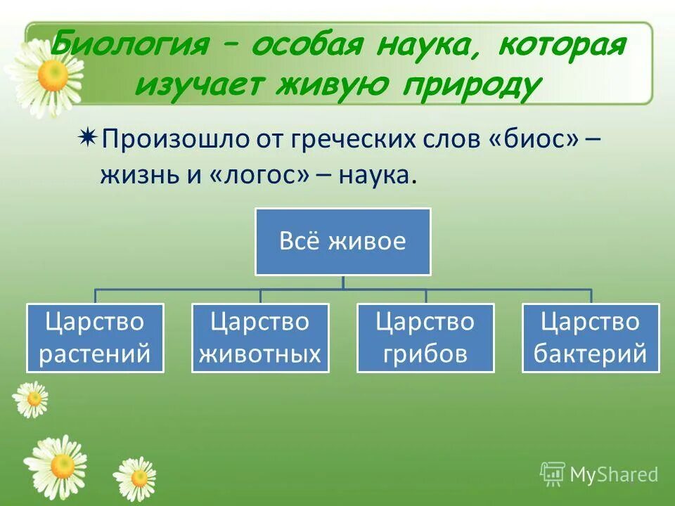 Какие классы есть в природе. Науки изучающие живую природу. Биология наука о живой природе. Что изучает биология 3 класс. Наука изучающая живую природу 3 класс.