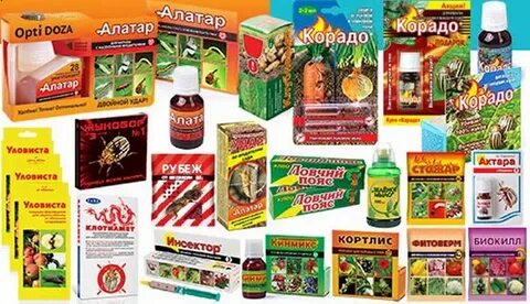 Ваше хозяйство сайт