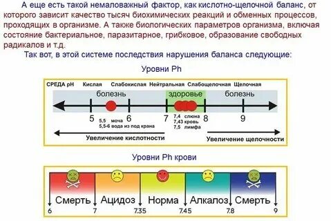 Какая рн среда в желудке человека