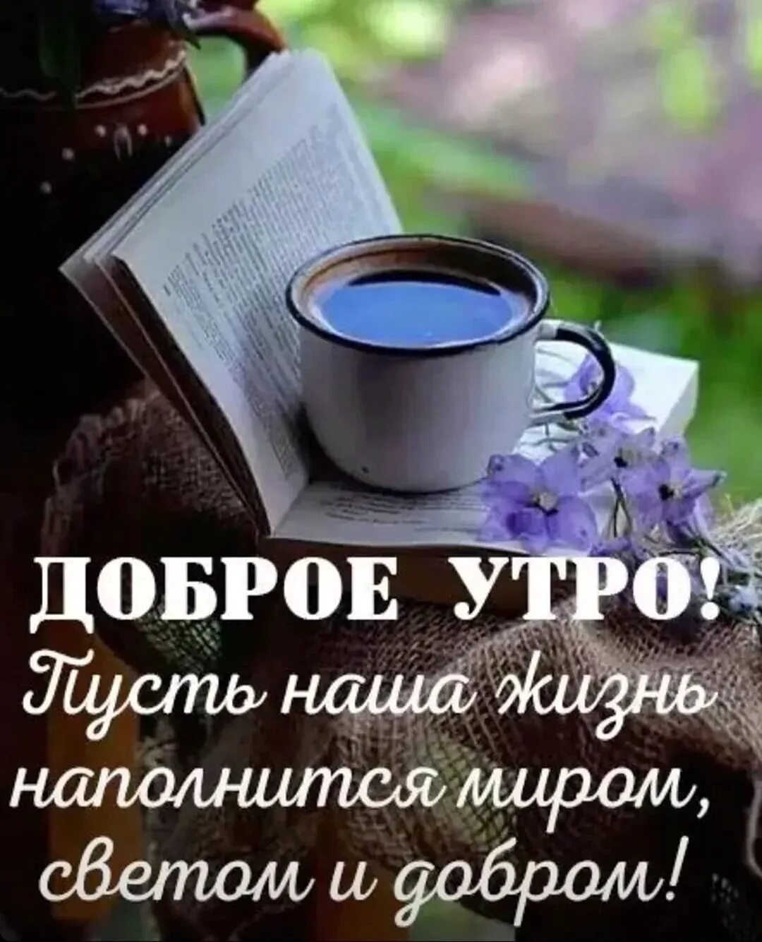 Доброе утро благословенного дня хорошего настроения картинки. Доброе утро благословенного дня хорошего настроения картинки