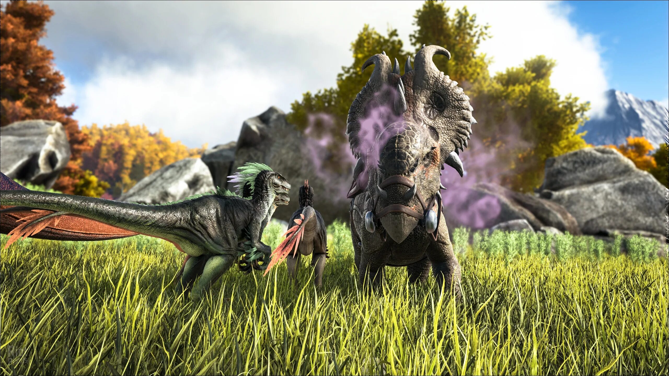 Динозавры ark survival evolved выживание. Ark survival evolved через. Ark: survival evolved. Арк сурваивал эволвед. Арк сурвайвал эволв.