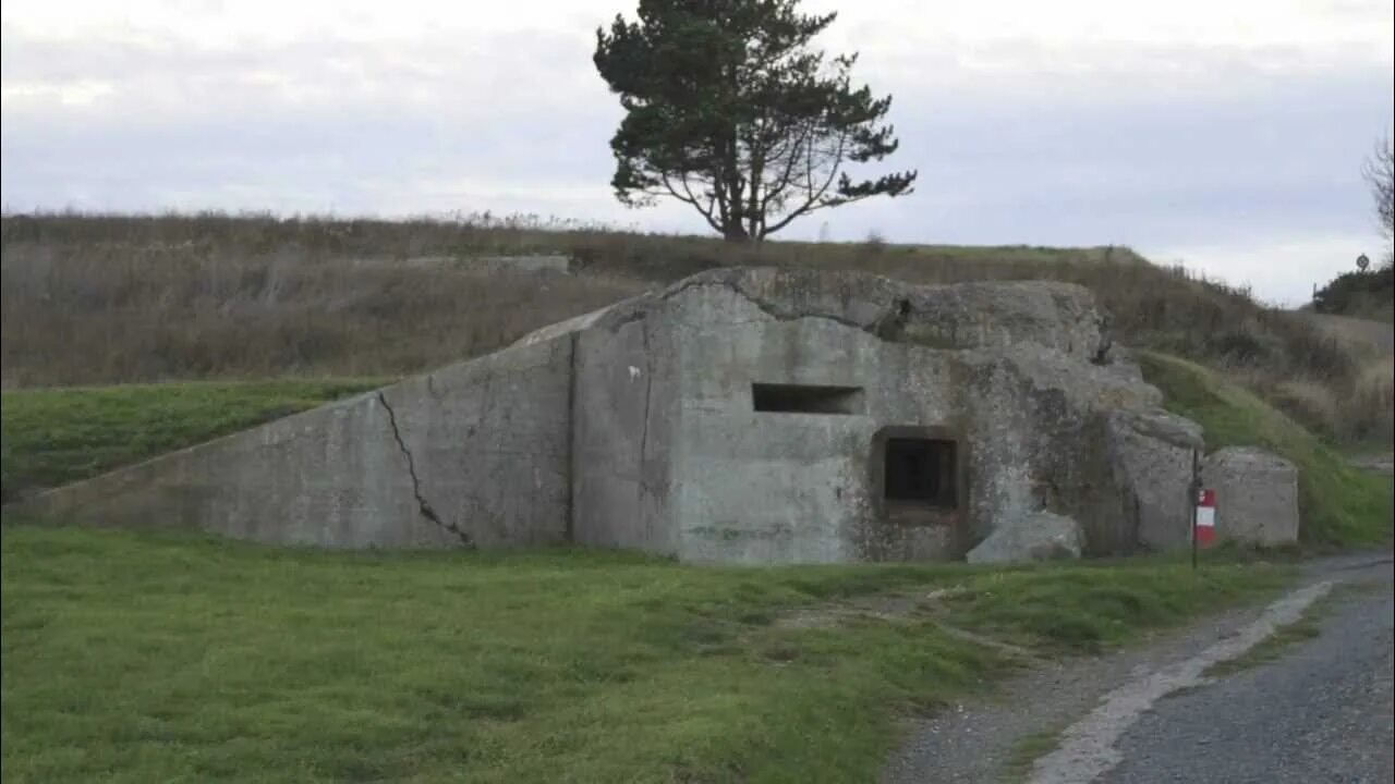 Bunker has