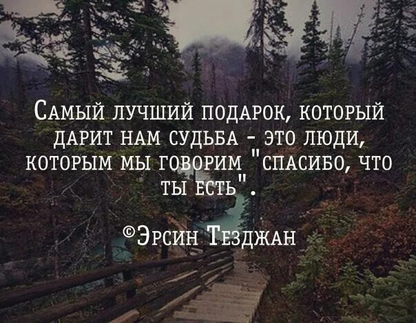 Самый лучший подарок который дарит нам судьба. Самый лучший подарок который дарит нам судьба это люди которым. самый лучший подарок это люди которым мы говорим спасибо. самый лучший подарок судьбы это люди.